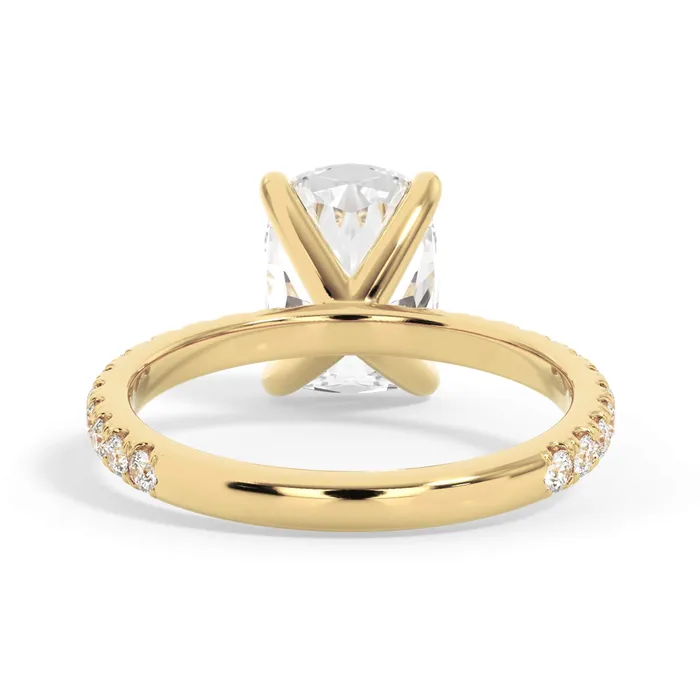 deBebians Rings Round Pave Engagement Ring