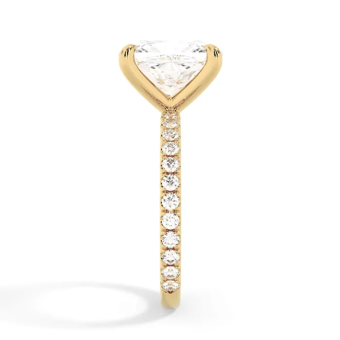 deBebians Rings Round Pave Engagement Ring