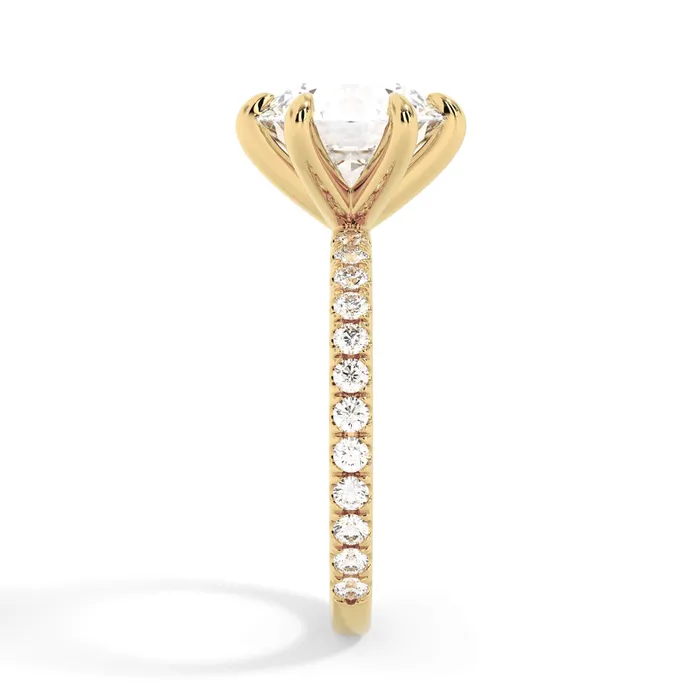 deBebians Rings Round Pave Engagement Ring