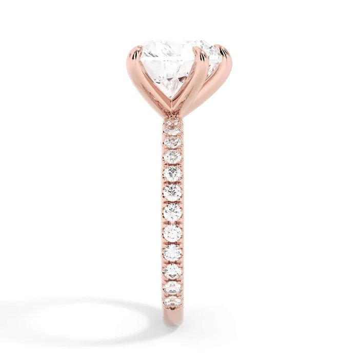 deBebians Rings Round Pave Engagement Ring