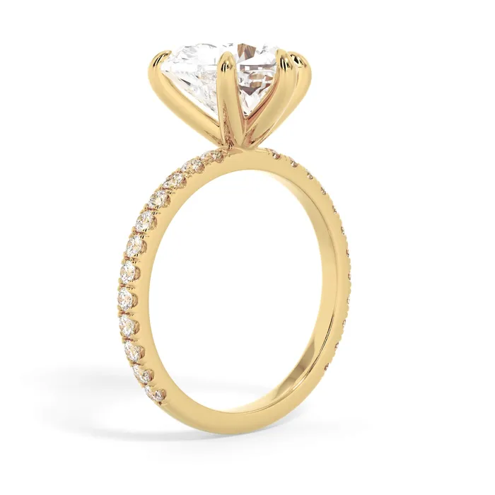 deBebians Rings Round Pave Engagement Ring