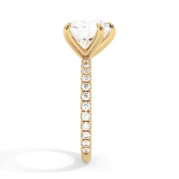 deBebians Rings Round Pave Engagement Ring