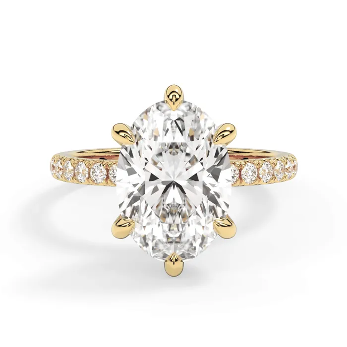 deBebians Rings Round Pave Engagement Ring