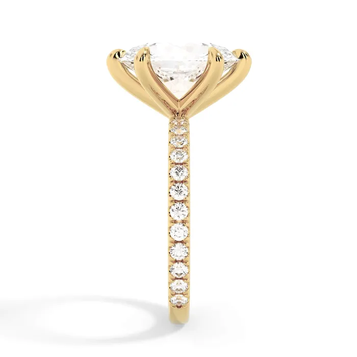 deBebians Rings Round Pave Engagement Ring