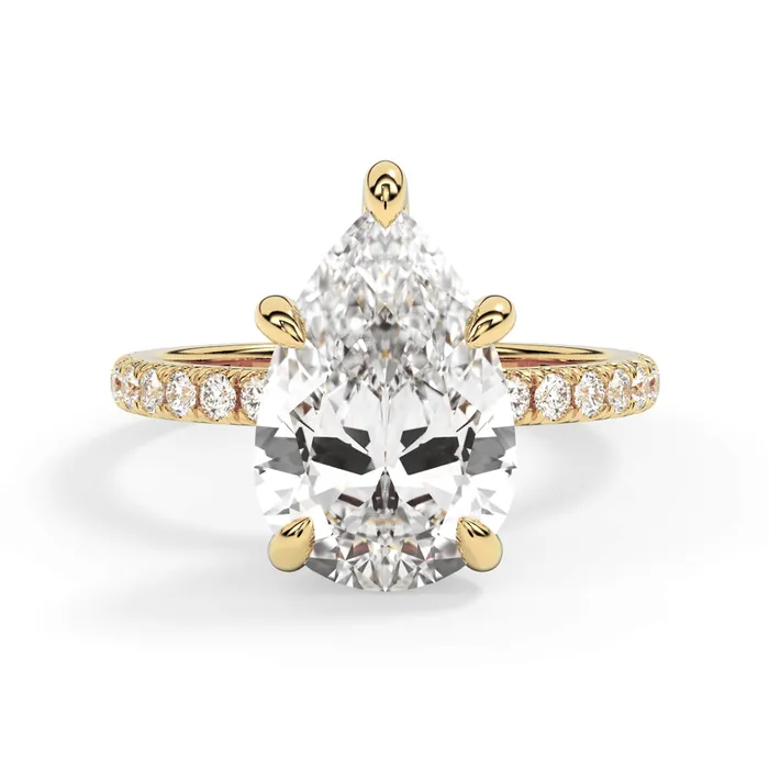 deBebians Rings Round Pave Engagement Ring