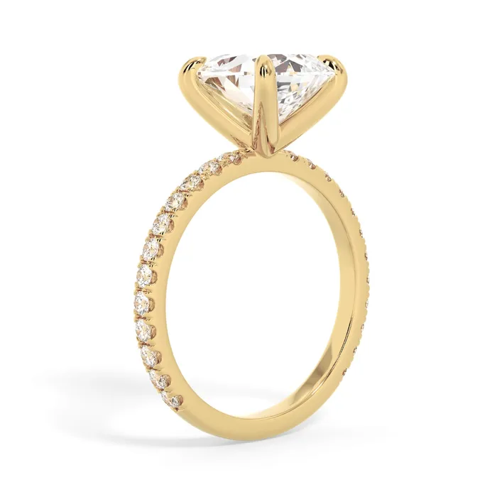 deBebians Rings Round Pave Engagement Ring