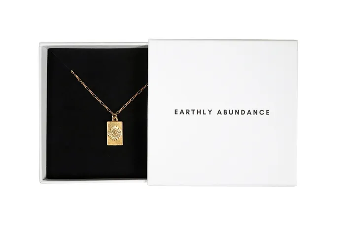 Earthly Abundance Jewelry Amazonite medallion necklace Necklaces