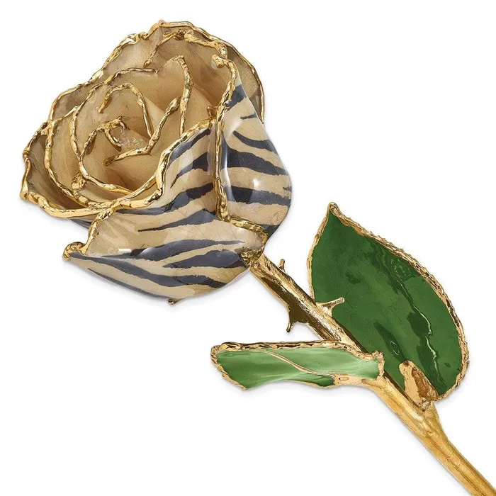 Jewelry Earrings Lacquer Dipped 24k Gold Trim CreamBlackZebra Rose