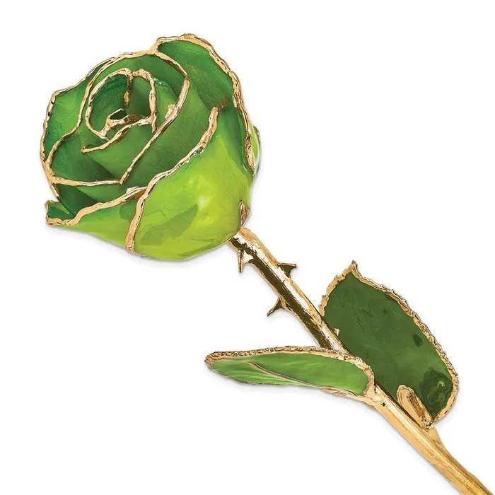 Lacquer Dipped Gold Trim Apple Green Rose Jewelry Earrings