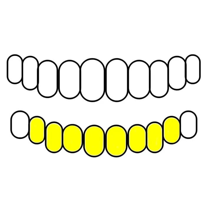 Rings Bling Cartel Admin Real 10K Gold TwoTone DiamondCut Custom Grillz