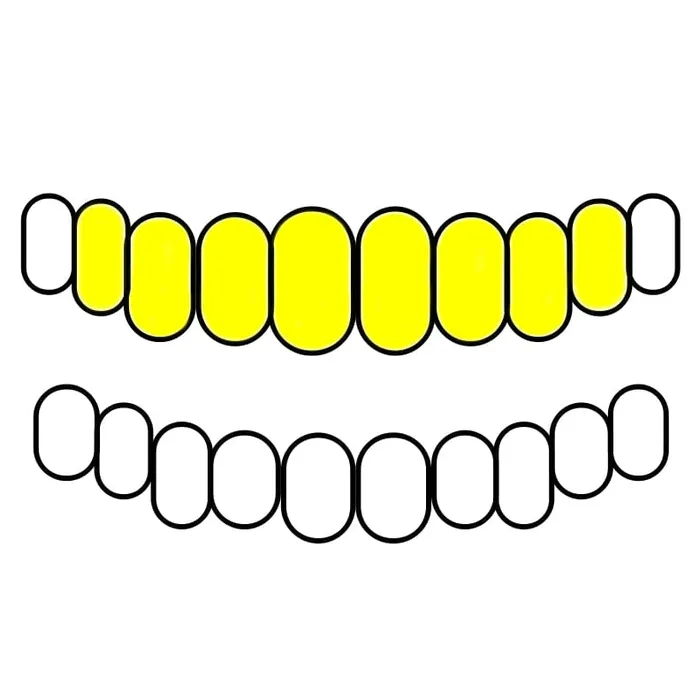 Rings Bling Cartel Admin Real 10K Gold TwoTone DiamondCut Custom Grillz