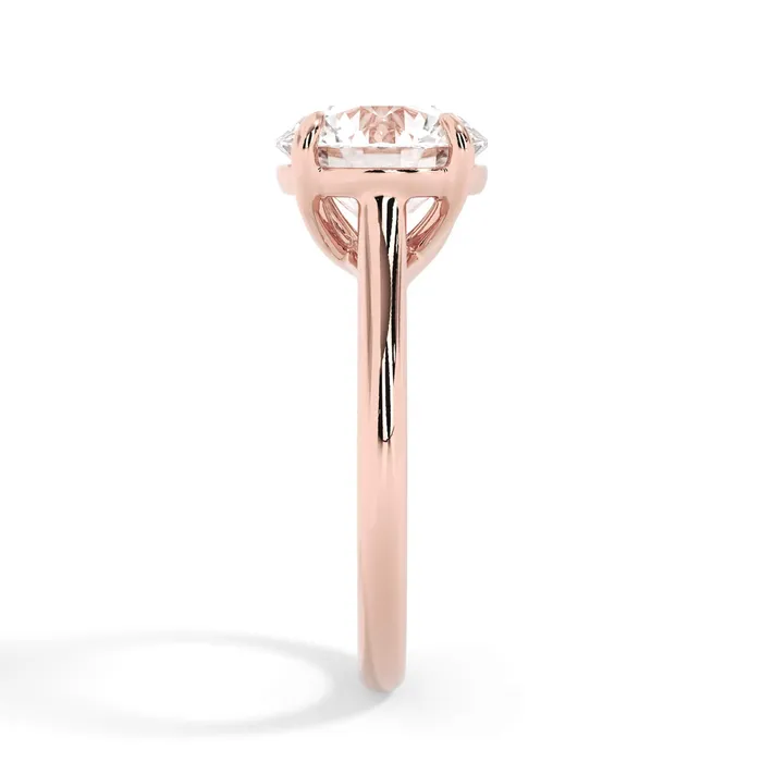 Rings deBebians Dainty Trellis Solitaire Engagement Ring Setting Rings deBebians Dainty Trellis Solitaire Engagement Ring Setting
