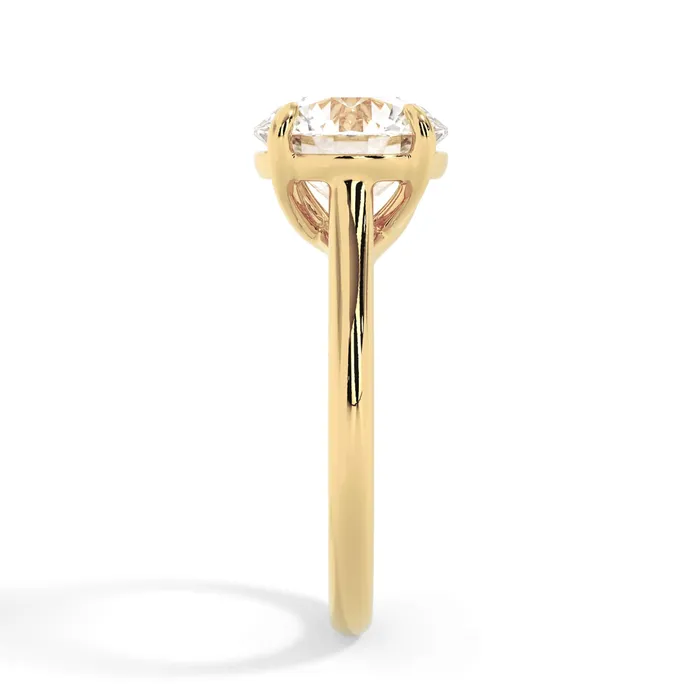 Rings deBebians Dainty Trellis Solitaire Engagement Ring Setting Rings deBebians Dainty Trellis Solitaire Engagement Ring Setting