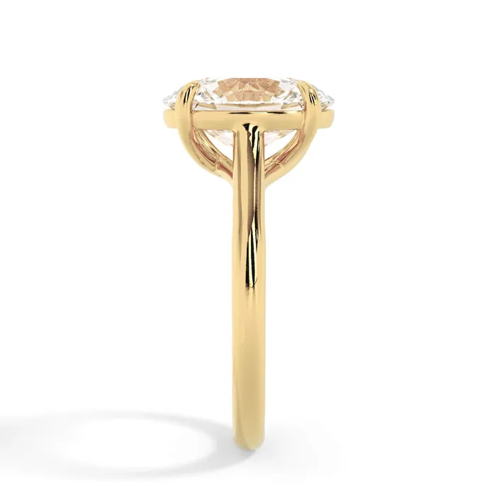 Rings deBebians Dainty Trellis Solitaire Engagement Ring Setting Rings deBebians Dainty Trellis Solitaire Engagement Ring Setting