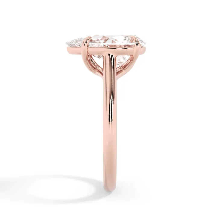 Rings deBebians Dainty Trellis Solitaire Engagement Ring Setting Rings deBebians Dainty Trellis Solitaire Engagement Ring Setting