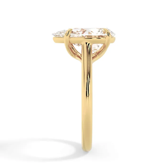 Rings deBebians Dainty Trellis Solitaire Engagement Ring Setting Rings deBebians Dainty Trellis Solitaire Engagement Ring Setting