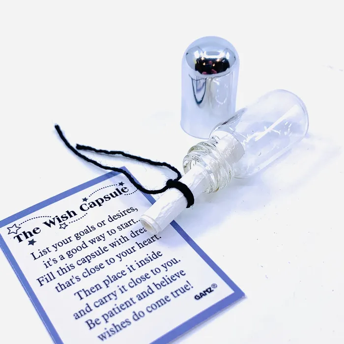 The Wish Capsule Pocket Charm PT 87 GANZ Charm Necklaces