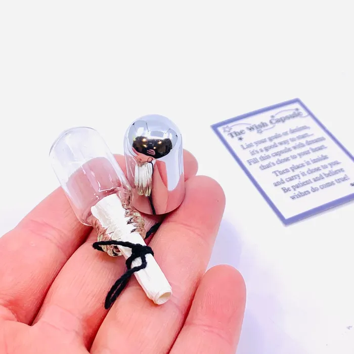 The Wish Capsule Pocket Charm PT 87 GANZ Charm Necklaces