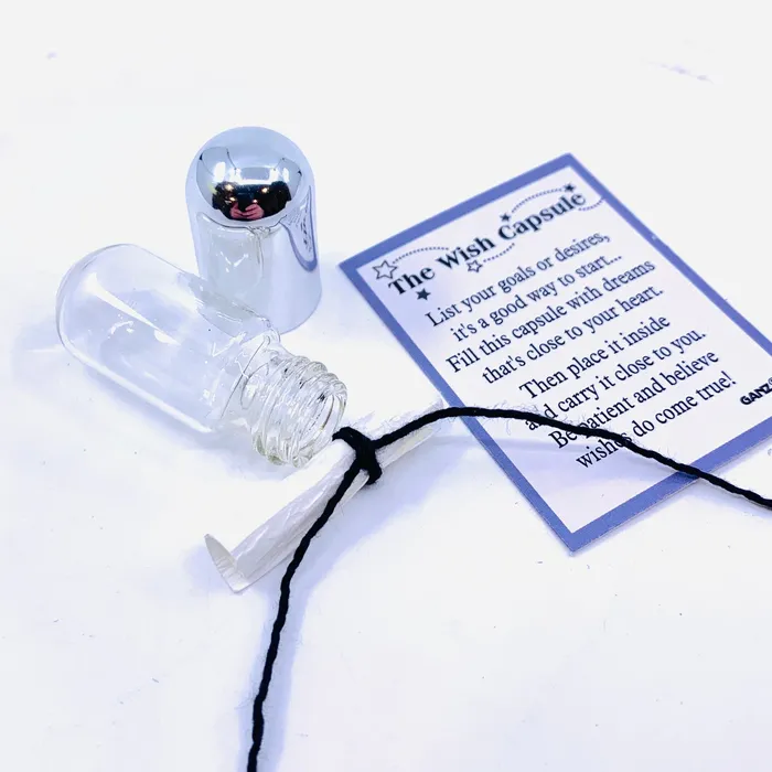 The Wish Capsule Pocket Charm PT 87 GANZ Charm Necklaces