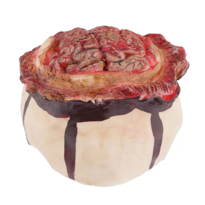 Necklaces LOOM TREE Scary Bloody Brain Bone Props Halloween Party Haunted House Decors Brown Dropshipped via Social Commerce Network