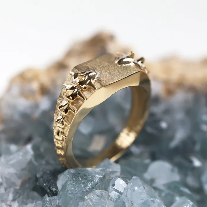 Rings Snake gold signet ring Ready to Ship Capucinne