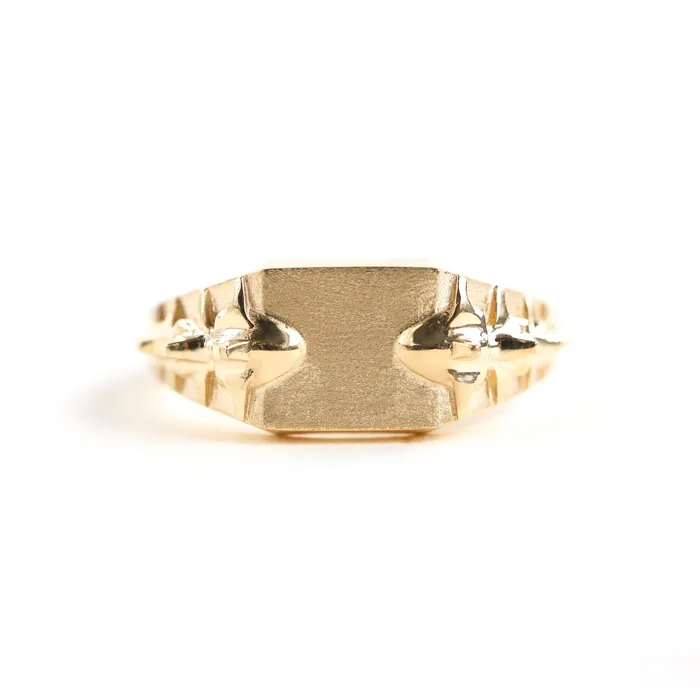 Rings Snake gold signet ring Ready to Ship Capucinne