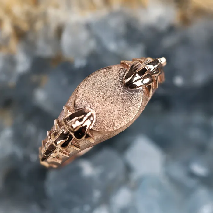 Rings Snake gold signet ring Ready to Ship Capucinne